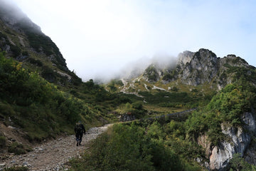 Hiking