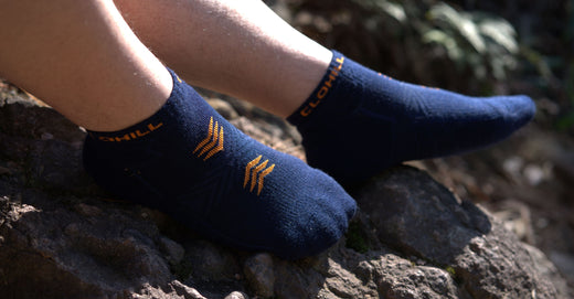Alpaca Socks