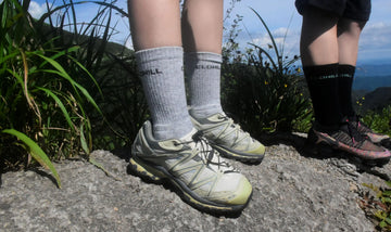 alpaca wool socks