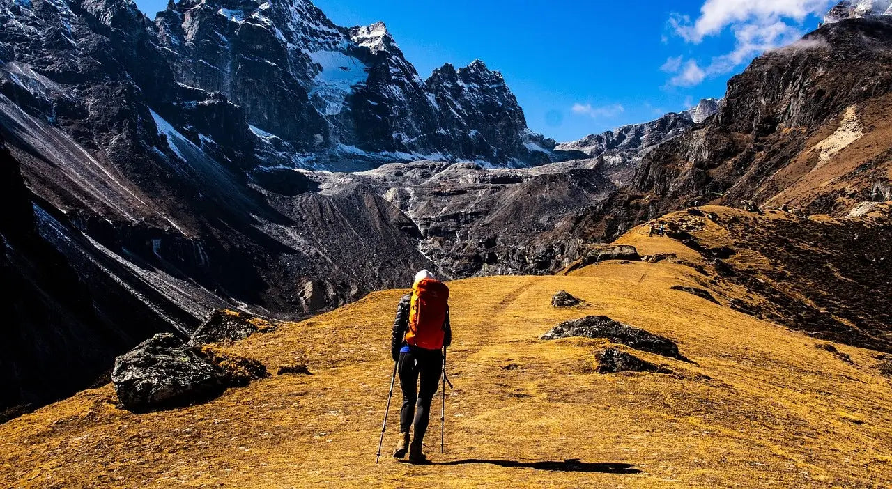 How to Improve Your Summer Hiking Performance